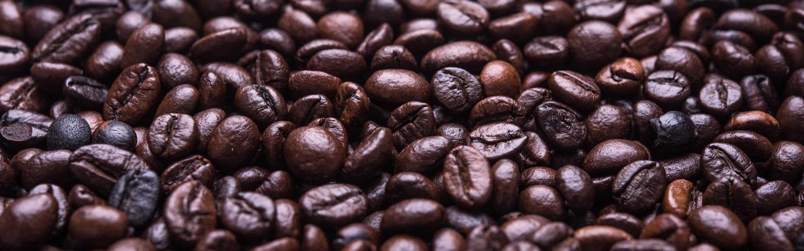 わらび座ミュージカル観劇付き温泉