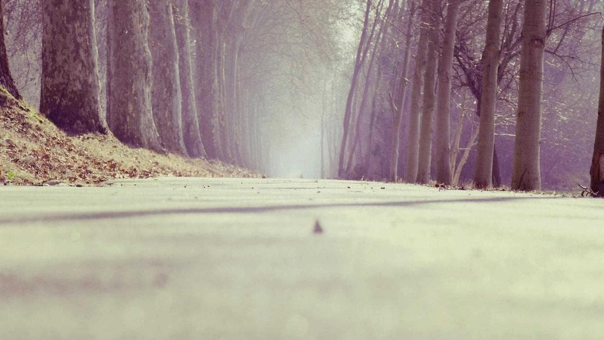 NiziU Live with U 2026