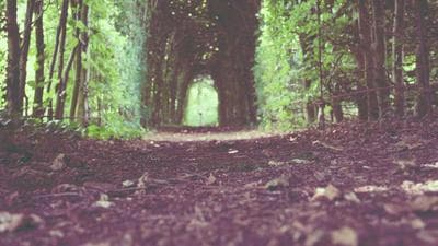 ウケホーダイ by オンスク.JP